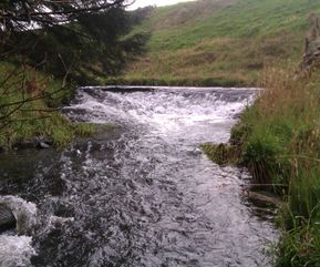 Scottiesly Weir (Bronie Burn at Esslemont)