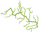 Graphic of the River Ythan and catchment